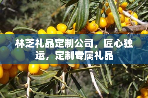 林芝礼品定制公司，匠心独运，定制专属礼品